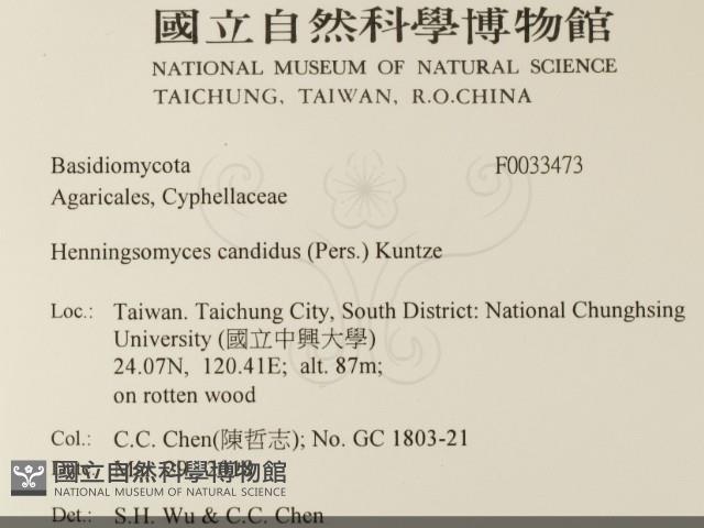 登錄號:F0033473藏品圖，第2張