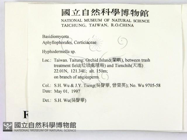 登錄號:F0008773藏品圖，第2張