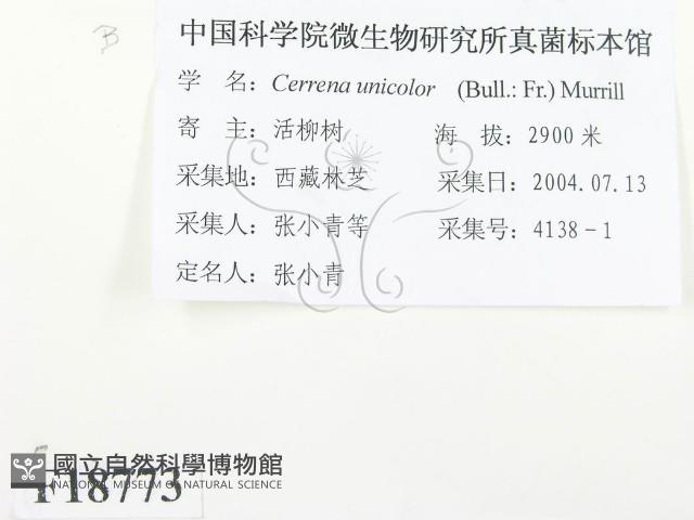 登錄號:F0018773藏品圖，第2張