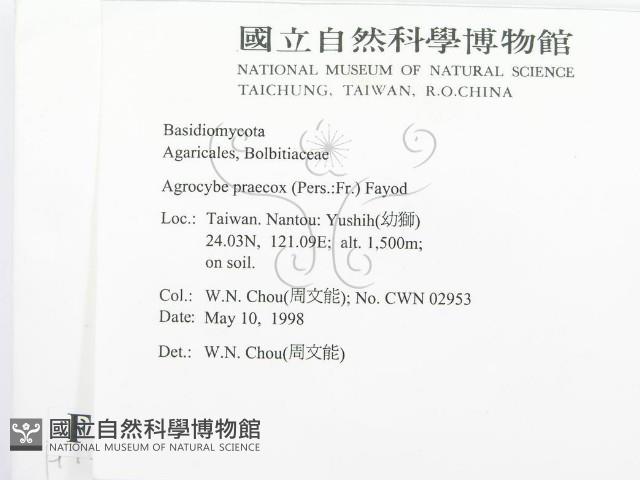 登錄號:F0010773藏品圖，第2張