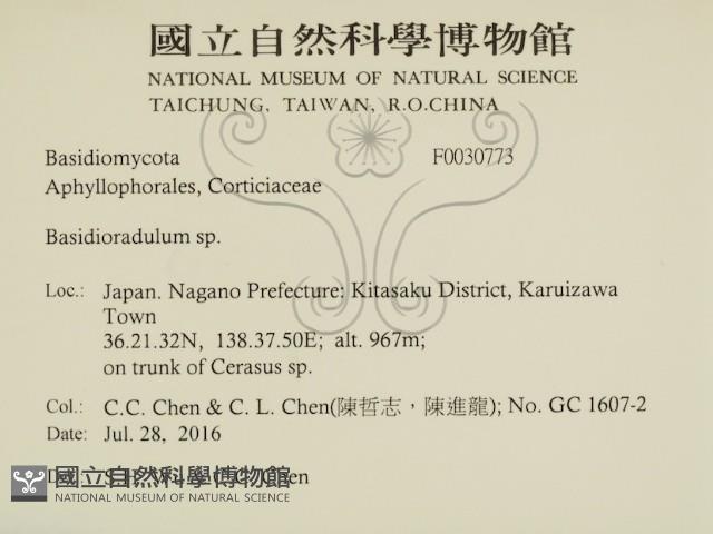 登錄號:F0030773藏品圖，第2張