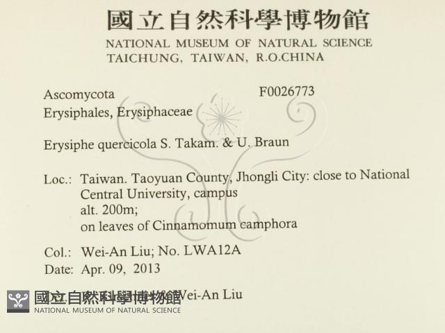 登錄號:F0026773藏品圖，第2張