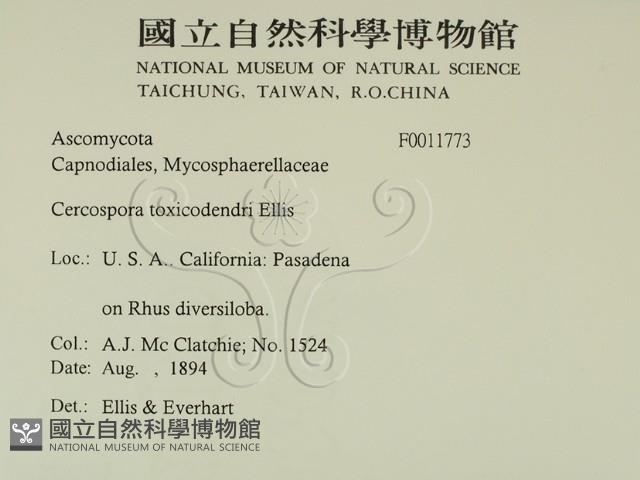 登錄號:F0011773藏品圖，第2張