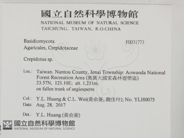 登錄號:F0031773藏品圖，第2張