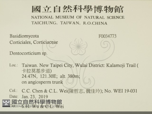 登錄號:F0034773藏品圖，第2張