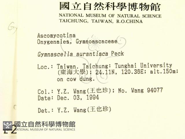 登錄號:F0002773藏品圖，第2張