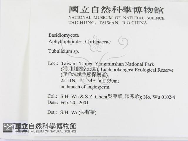 登錄號:F0012773藏品圖，第2張
