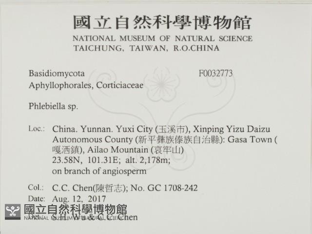 登錄號:F0032773藏品圖，第2張