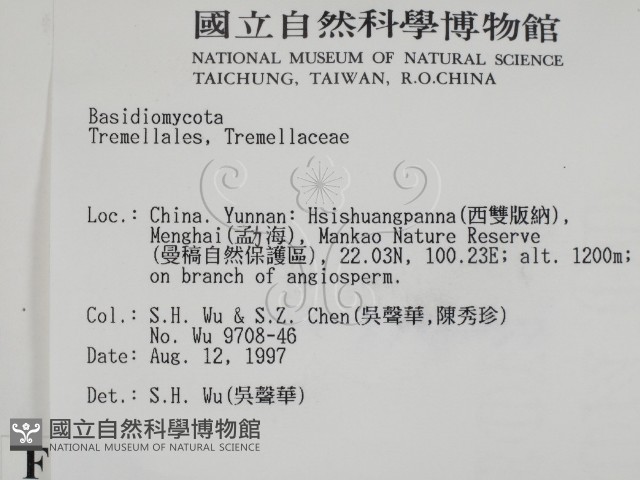 登錄號:F0007773藏品圖，第2張