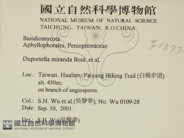 登錄號:F0013773藏品圖，第2張