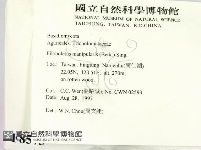 登錄號:F0008573藏品圖，第2張