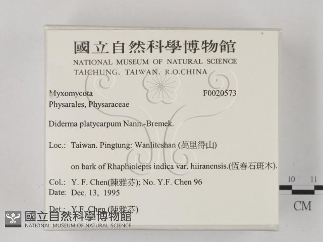 登錄號:F0020573藏品圖，第2張