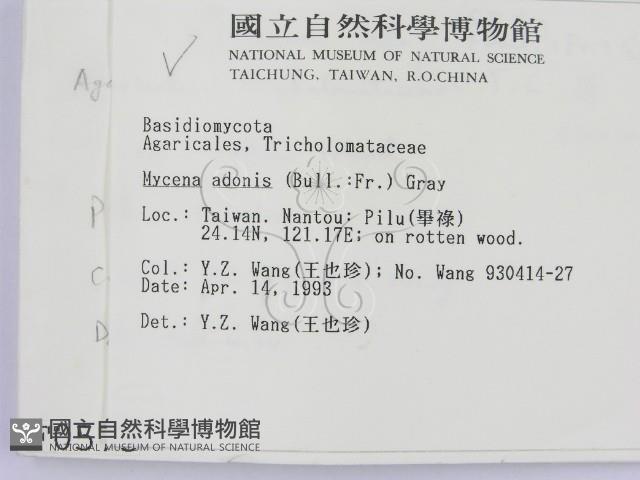 登錄號:F0000573藏品圖，第2張