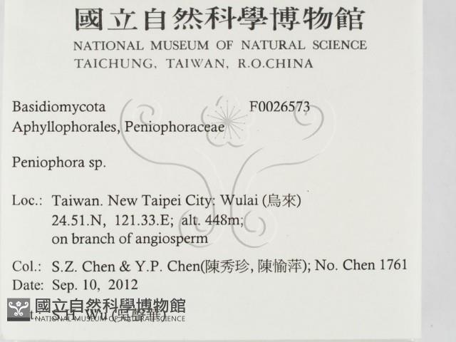 筍殼菌屬藏品圖，第2張