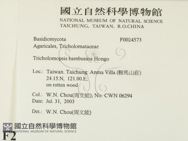 登錄號:F0024573藏品圖，第2張