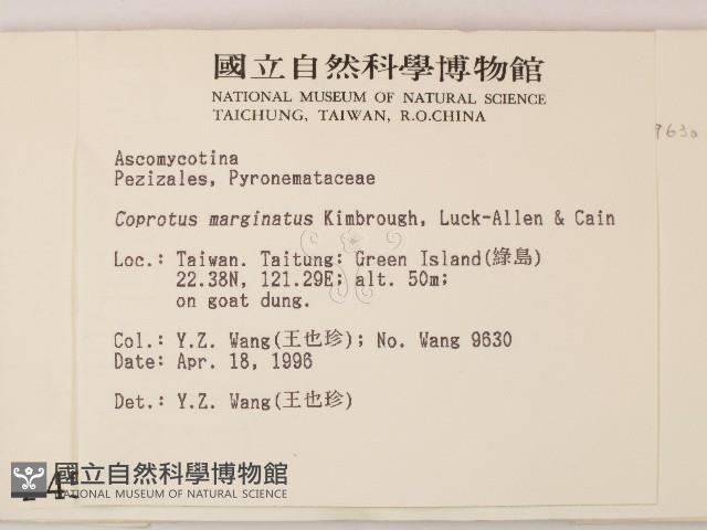 登錄號:F0004573藏品圖，第2張