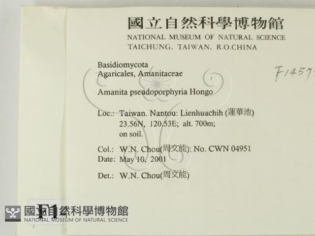 登錄號:F0014573藏品圖，第2張