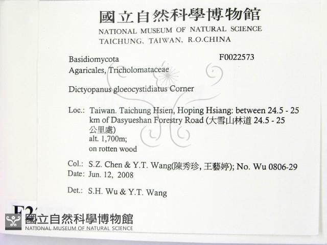 登錄號:F0022573藏品圖，第2張