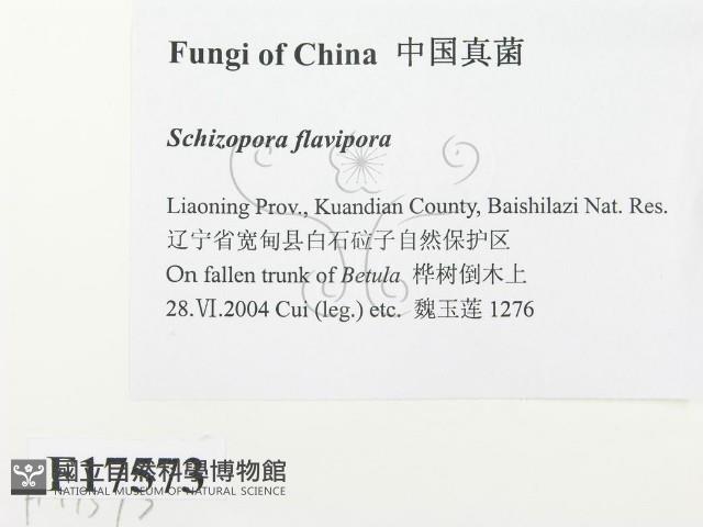 登錄號:F0017573藏品圖，第2張