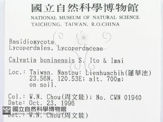 登錄號:F0005573藏品圖，第2張