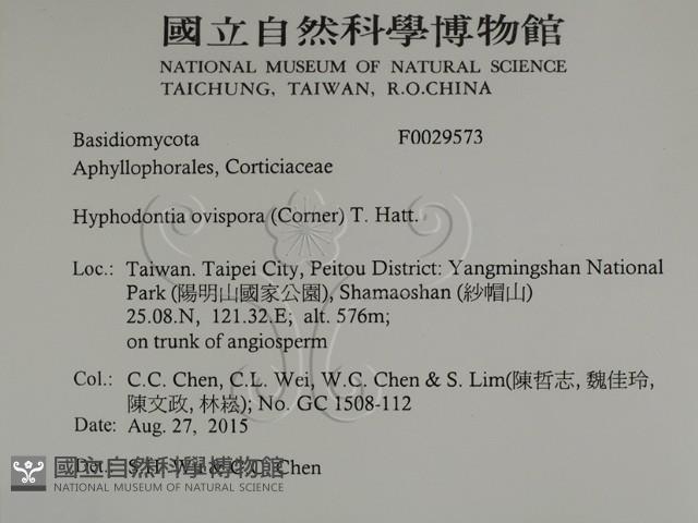 登錄號:F0029573藏品圖，第2張