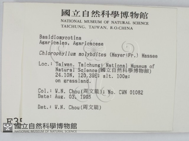 登錄號:F0003573藏品圖，第2張