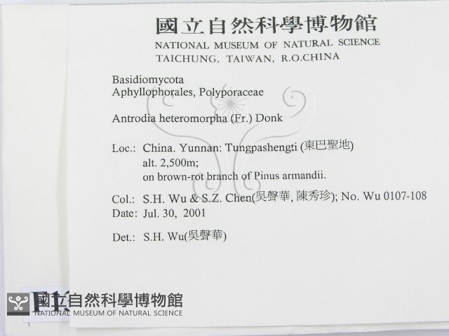 登錄號:F0013573藏品圖，第2張
