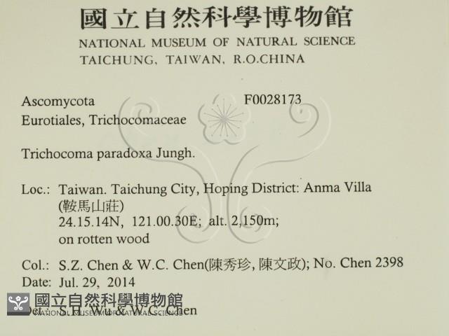 登錄號:F0028173藏品圖，第2張