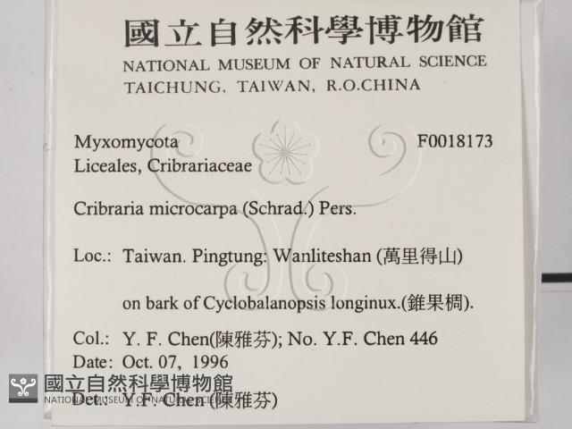 登錄號:F0018173藏品圖，第2張