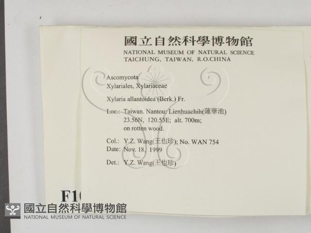 登錄號:F0010173藏品圖，第2張