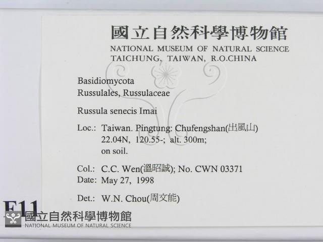 登錄號:F0011173藏品圖，第2張