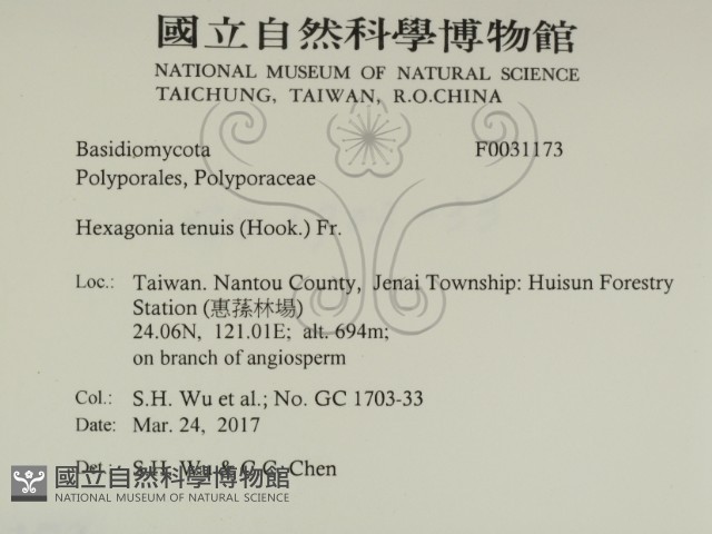 登錄號:F0031173藏品圖，第2張