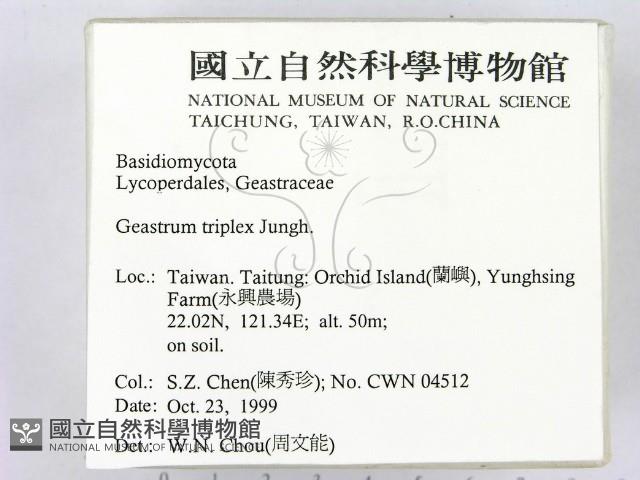 登錄號:F0014173藏品圖，第2張