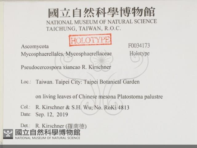 登錄號:F0034173藏品圖，第2張