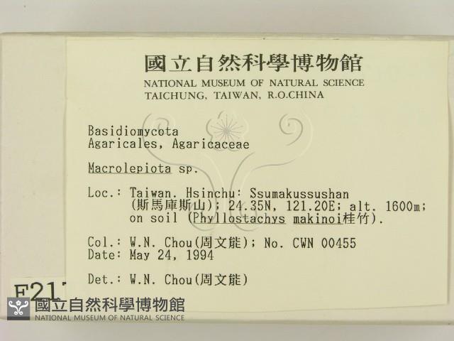 登錄號:F0002173藏品圖，第2張