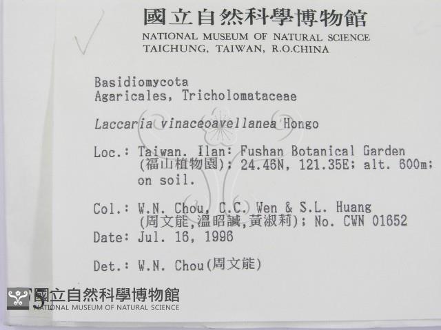 登錄號:F0005173藏品圖，第2張