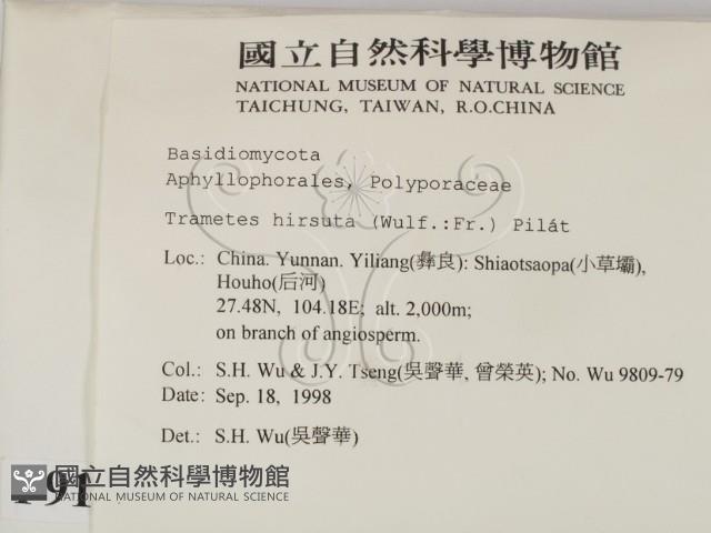 登錄號:F0009173藏品圖，第2張