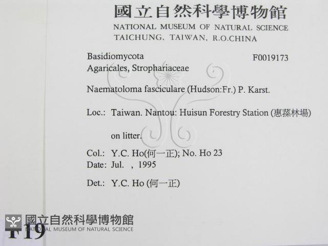 登錄號:F0019173藏品圖，第2張