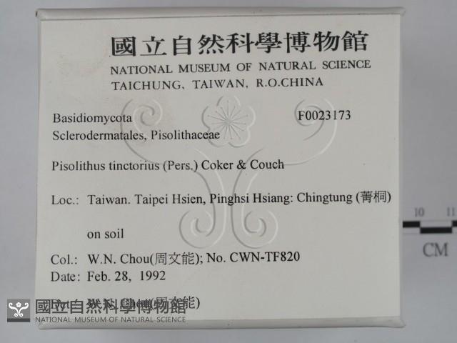 登錄號:F0023173藏品圖，第2張