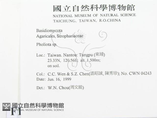 登錄號:F0013173藏品圖，第2張
