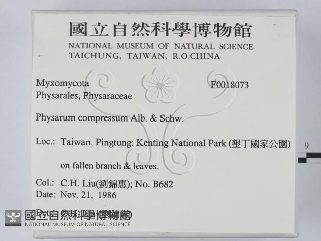 登錄號:F0018073藏品圖，第2張