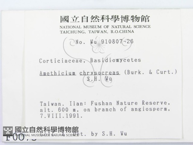 登錄號:F0000073藏品圖，第2張