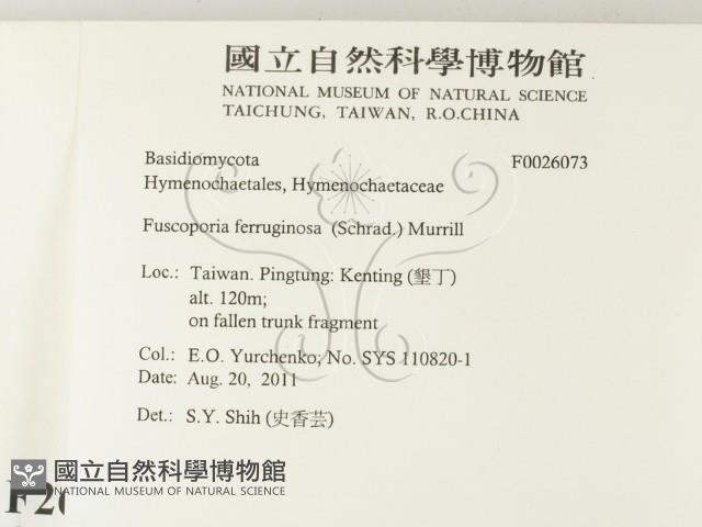 登錄號:F0026073藏品圖，第2張