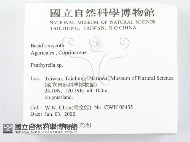 登錄號:F0016073藏品圖，第2張