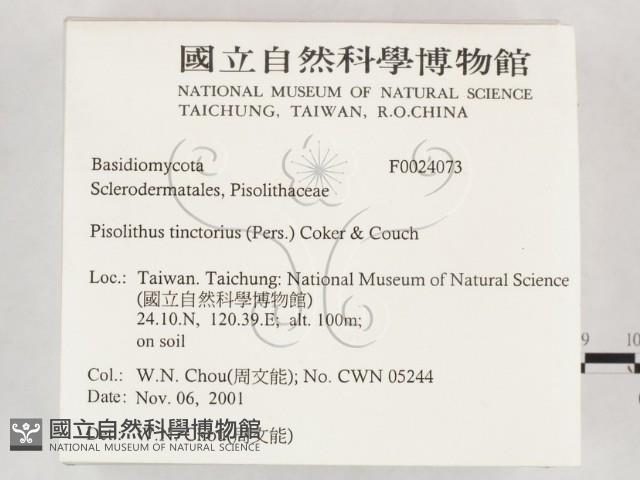 登錄號:F0024073藏品圖，第2張