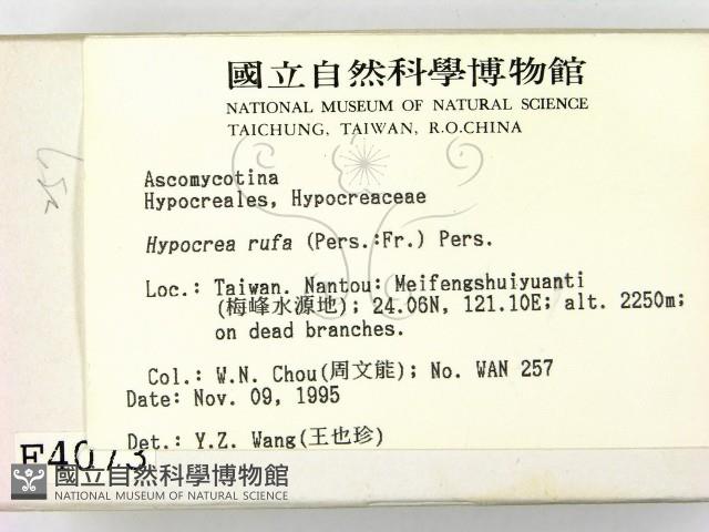 登錄號:F0004073藏品圖，第2張