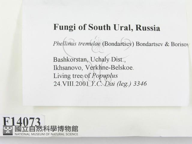 登錄號:F0014073藏品圖，第2張