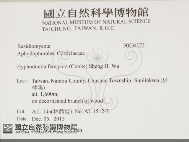 登錄號:F0034073藏品圖，第2張