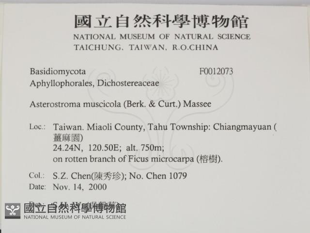 登錄號:F0012073藏品圖，第2張