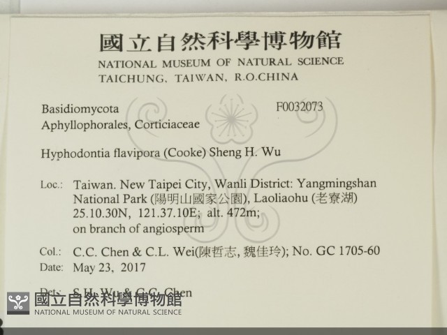 登錄號:F0032073藏品圖，第2張